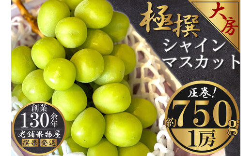極撰！大房シャインマスカット　 1房(約750g)