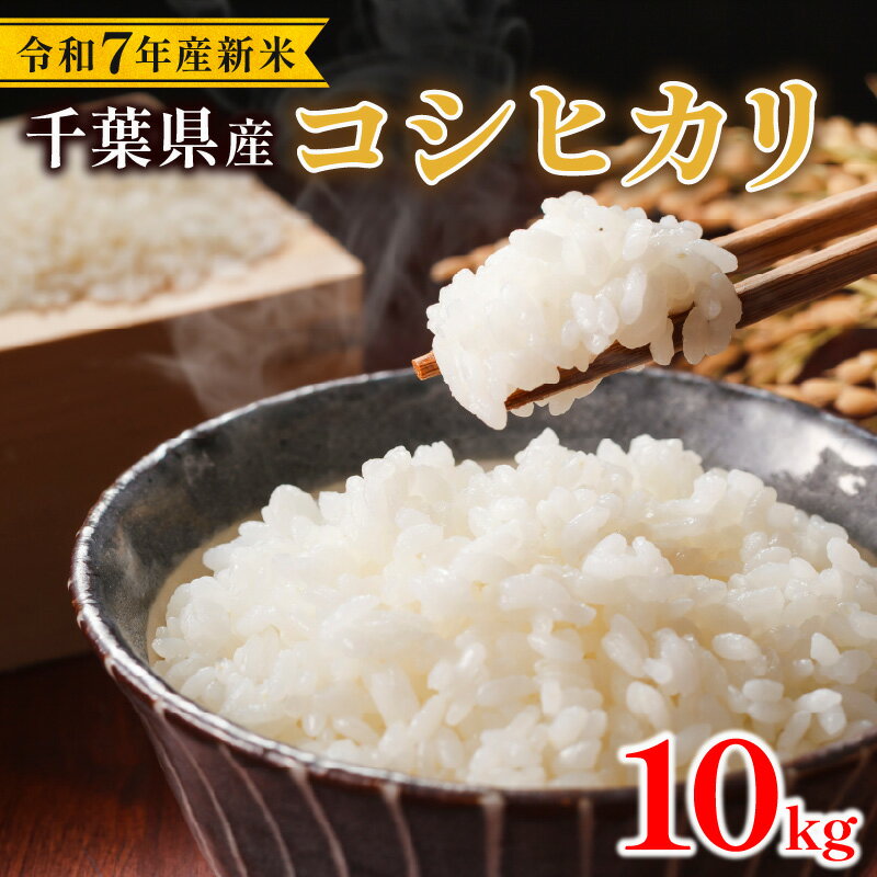 【ふるさと納税】 令和7年 コシヒカリ 新米 10kg こしひかり 米 白米 精米 千葉県産 コメ お米 こめ こしひかり ライス 新米10kg R7米 R7 7年産 令和7年産新米 kome 2025 国産 千葉県産 備蓄 防災 産地直送 送料無料 お弁当 おにぎり 千葉県 旭市 株式会社いてつ