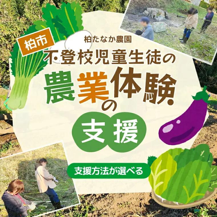 不登校児童生徒の農業体験の支援 （支援のみ） 〈 サポート 学び 食育 収穫体験 農業体験 体験 収穫 野菜 子供 親子 農作物 ふるさと納税 柏 〉