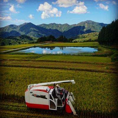 ふるさと納税 村上市 【令和7年産米】新潟県岩船産　棚田米コシヒカリ12kg　B4107 |  | 01