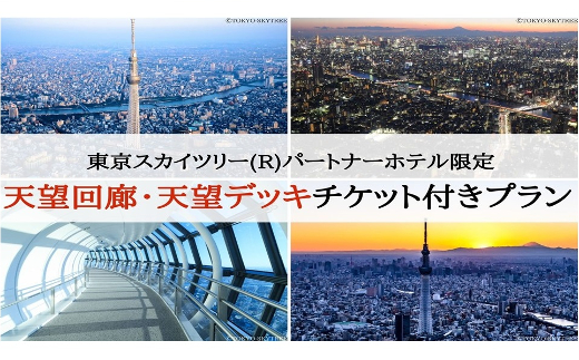 【変なホテル東京 浅草田原町】東京スカイツリー®天望回廊・天望デッキ入場券付き！東京スカイツリーを一望できるスイートルーム 1泊ペア宿泊券〈朝食付〉