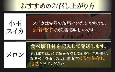 【先行予約】佐藤農園の小玉スイカ・マルセイユメロン セット 計2玉（約3kg～4kg） 秀品 農家直送 有機肥料 低農薬 ※2025年6月上旬より順次発送 [aw069-a004]