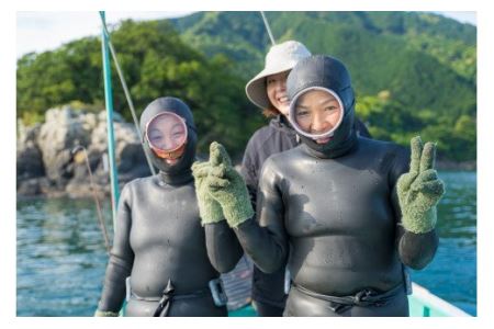 海女採り 尾鷲産天然岩牡蠣（いわがき）　大容量５kgセット（カキ平均サイズ約400g）　MK-13