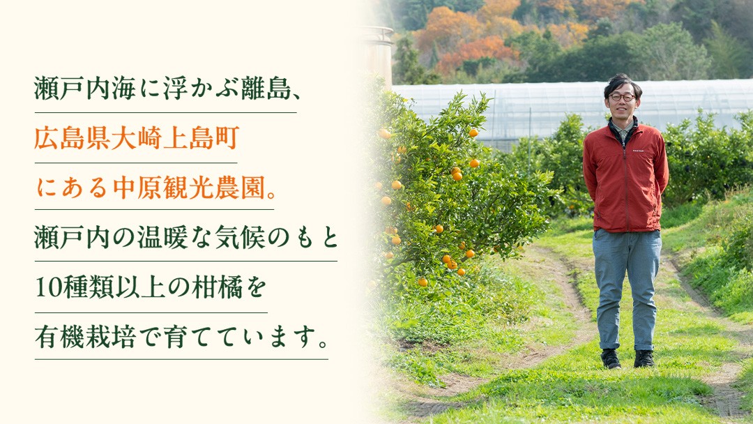 広島県の離島、大崎上島の『中原観光農園』。海のそばにある広々とした農園で、10種類以上の柑橘の樹がのびのびと枝を伸ばしています。