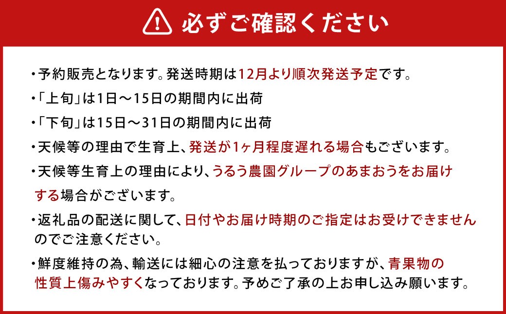 【アフター保証】贈答用 あまおう 約800g