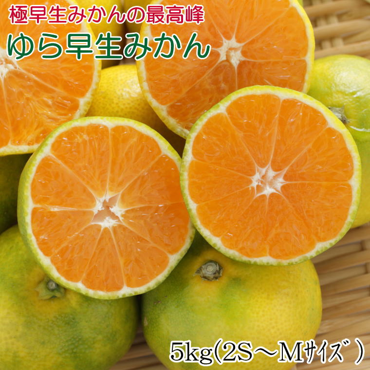 【ふるさと納税】 【極早生みかんの逸品】有田産ゆら早生みかん 約5kg ※2025年10月中旬～11月中旬頃に順次発送予定（お届け日指定不可）