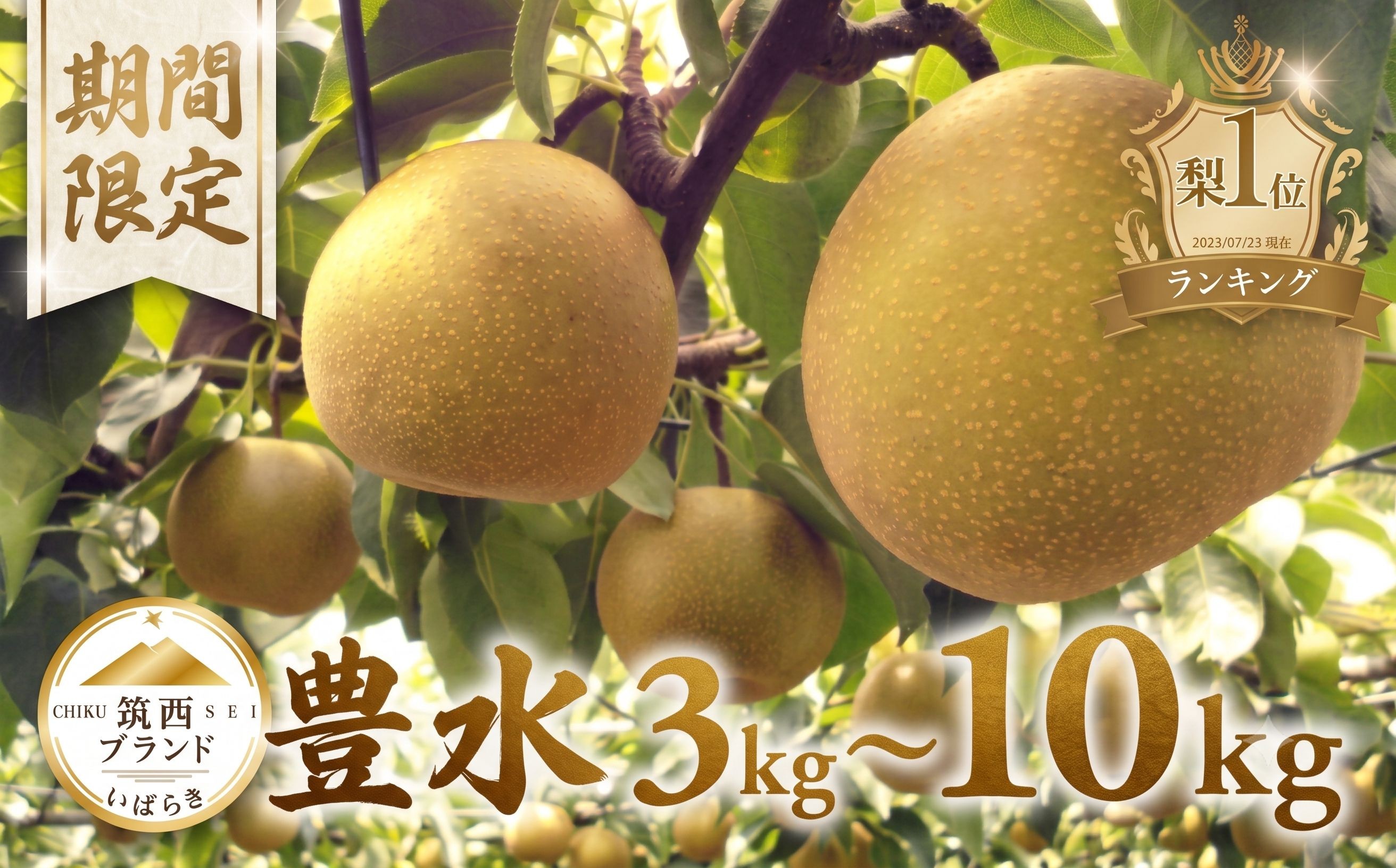 
                  【ランキング1位獲得】≪新規格追加！≫  梨 豊水 約 3kg 5kg 10kg (6～28玉) 1箱  なし ナシ ほうすい梨 旬の梨 和梨 果実 豊水梨 秀品 あり 贈答用 贈答 甘み 品種 果肉 果汁 たっぷり 果物 くだもの デザート フルーツ nasi 2026年産 先行予約 旬の果物 旬のフルーツ 高評価 大人気 おすすめ 特産品  茨城県産 JA 北つくば 関東 茨城 筑西
                