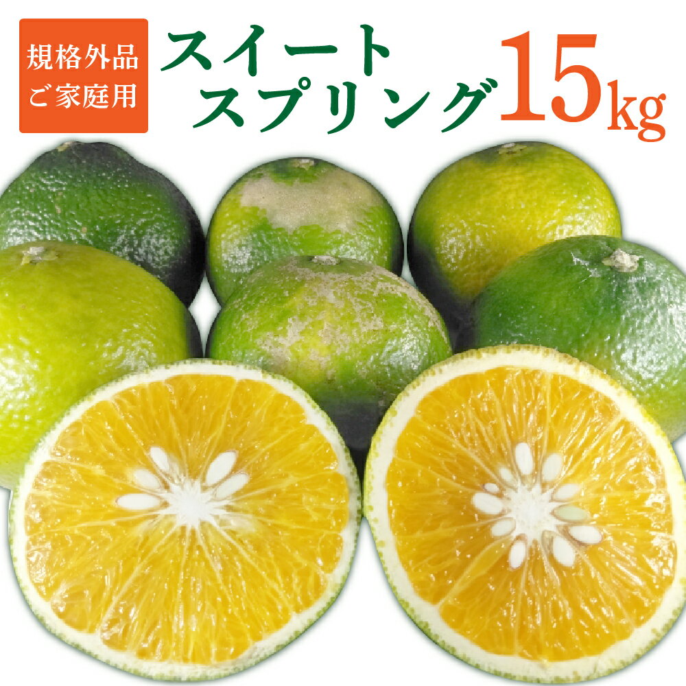 【ふるさと納税】 【規格外品】スイートスプリング ご家庭用 15kg サイズ不選別 訳あり みかん フルーツ 果物 柑橘 熊本県産 九州産 送料無料 【2026年1月上旬～2月下旬迄発送予定】