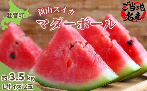 ＜2026年8月上旬よりお届け＞北海道壮瞥産　新山すいか 小玉すいか（マダーボール）Lサイズ2玉 スイカ SBTN002