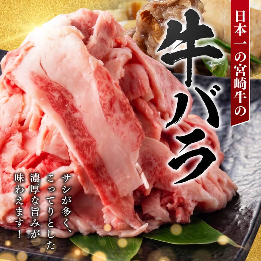 【訳あり】宮崎牛バラ切り落とし600g(300g×2) 【 牛肉 牛 肉 宮崎牛 牛バラ 切り落とし 牛丼 カレー 訳あり 送料無料 】 [B00621] 600g(300g×2)