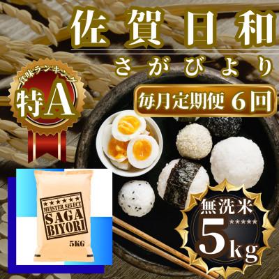 ふるさと納税 佐賀県 【毎月定期便】【無洗米】さがびより5kg(佐賀県)【41ANAD019】全6回