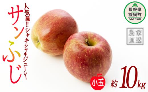 りんご サンふじ 小玉 10kg 丸茂ファーム 2024年1月下旬頃から2024年4月上旬頃まで順次発送予定 エコファーマー認定 令和6年度収穫分 長野県 飯綱町 [0284]