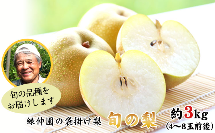 『緑伸園』の旬の梨 約3kg《8月中旬-9月下旬頃出荷》 旬の品種をお届け 予約受付中  4-8玉前後入り 梨 旬 豊水 あきづき 新高