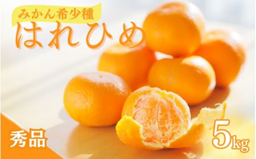 【先行予約】希少種みかん はれひめ 約5kg(25個～30個) 秀品 2025年12月中旬～2026年2月初旬頃に順次発送予定（お届け日指定不可）/ 和歌山 みかん はれひめ フルーツ 柑橘 蜜柑 果物 くだもの【kgr004A】