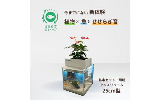 せせらぎビオトープ　25cm型基本+照明セット（アンスリウム）