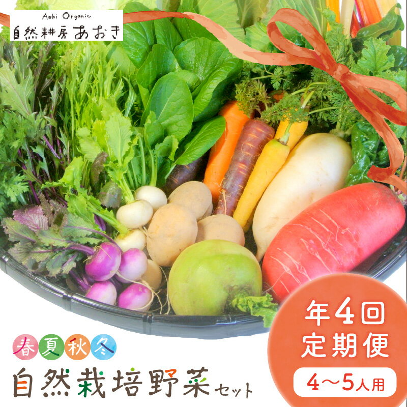 【ふるさと納税】濃い野菜【年4回定期便 4～5人分】 春夏秋冬 自然栽培野菜セット (年4回) 4～5人用　ふるさと納税 野菜 自然栽培 季節 定期便 4~5人用　定期便 4回 旬野菜 詰め合わせ 栽培期間中 農薬 京都 産地直送 野菜セット おまかせ