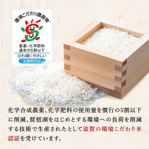 餅 杵つき餅 もち 詰め合わせ A02 農事組合法人万葉の郷ぬかづか加工部 東近江