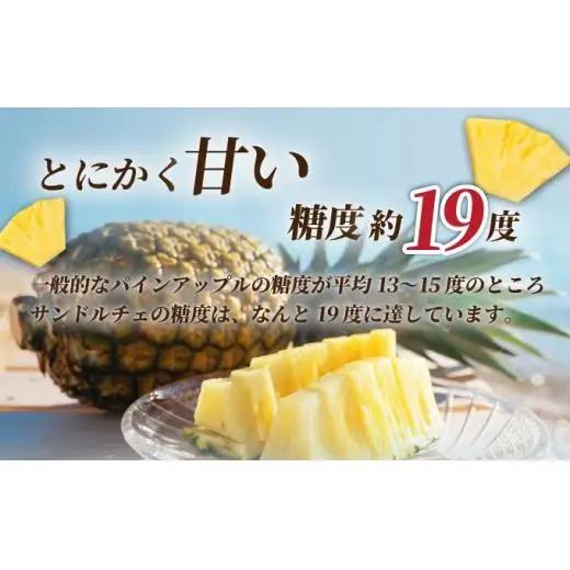石垣島産 中玉サンドルチェ６玉 合計約5.7kg 