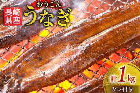 うなぎ 国産 蒲焼 長崎県産 おうごんうなぎ 松 セット 約1kg 4尾～8尾 [松永水産 長崎県 平戸市 hr42bgy400223]
