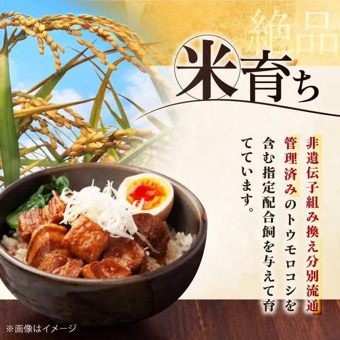 平田牧場 バラ ブロック1.2kg (600g×2P)  バラ 豚肉 国産 北海道 [AJAP073]