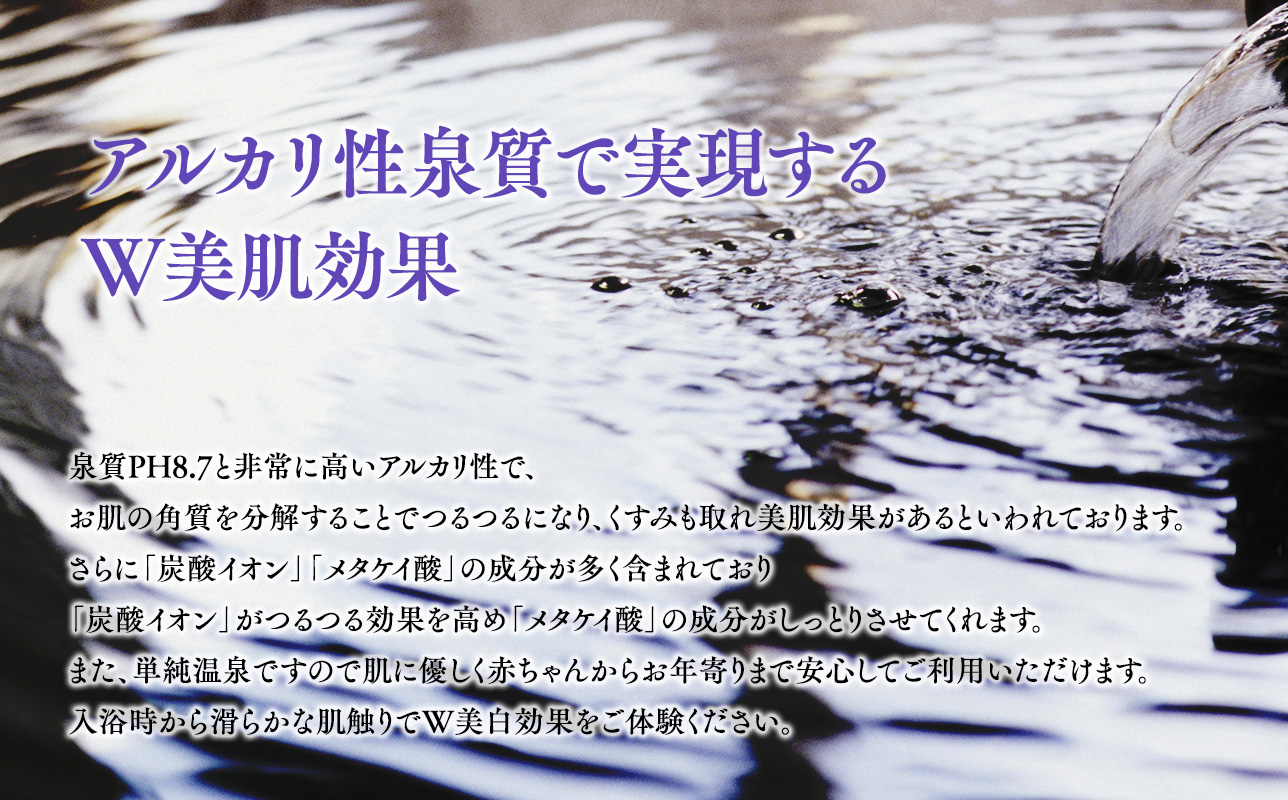 サウナ付き半露天風呂個室『ルソーナ』90分貸切利用券 【青森県 平川市 からんころん温泉】 サウナ 貸切風呂 サウナ付き チケット 