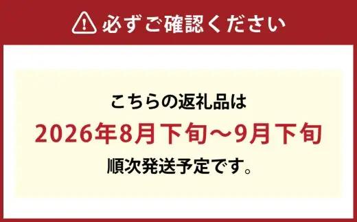 訳あり 白皇 9～15玉 （約3.8kg） 【2026年8月下旬～9月下旬発送予定】 家庭用 糖度 香り 果実 くだもの 果物 フルーツ もも 桃 モモ ピーチ 国産 岡山県産 ブランド 甘み 肉質 