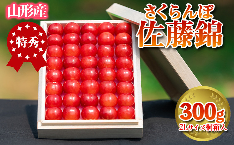 
            さくらんぼ 「佐藤錦」 300g 特秀品 2Lサイズ 桐箱入 山形産【令和7年産先行予約】  FS24-033 くだもの 果物 フルーツ 山形 山形県 山形市 2025年産
          