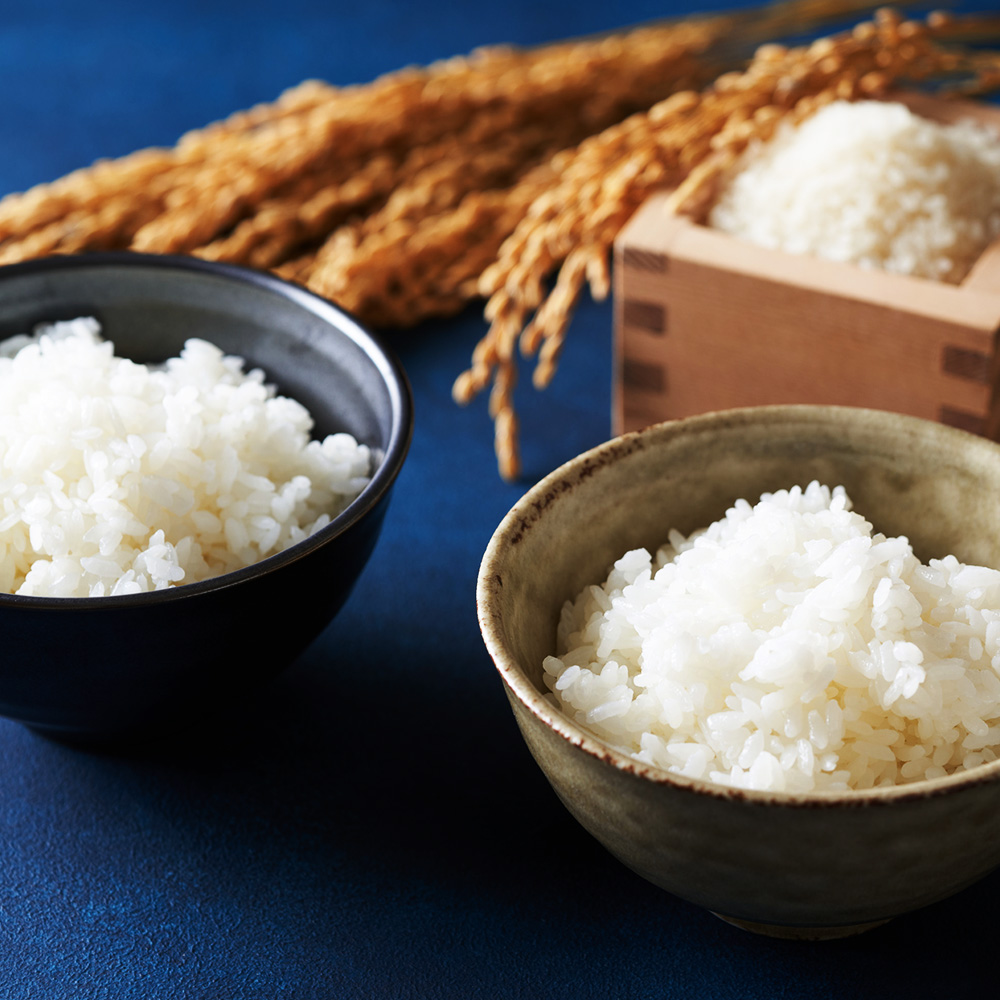 鳥取県産  ひとめぼれ 令和7年産 精米済 10kg（5kg×2袋）