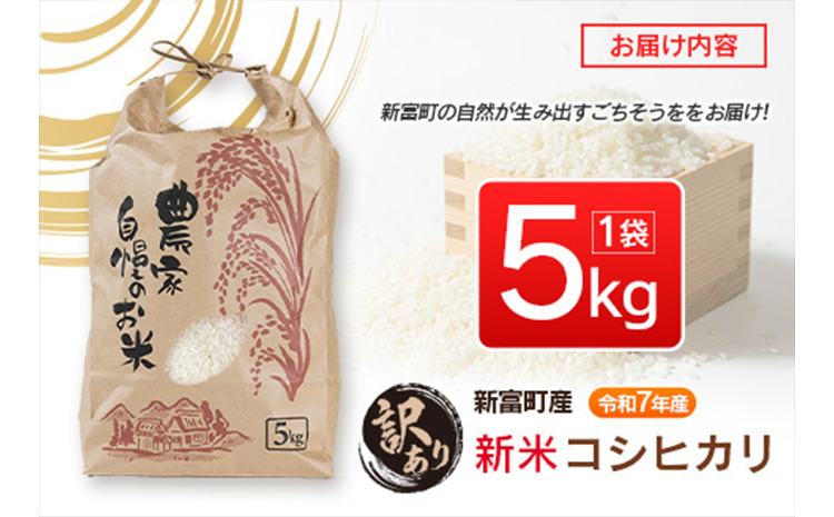 ＜訳あり＞令和７年産　新米コシヒカリ5kg 宮崎県新富町産【B679】