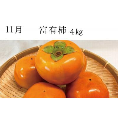 ふるさと納税 北山村 【発送月固定定期便】秋の味覚 果物定期便 柿・みかん　旬のフルーツを毎月お届け【tkb130】全3回 |  | 02