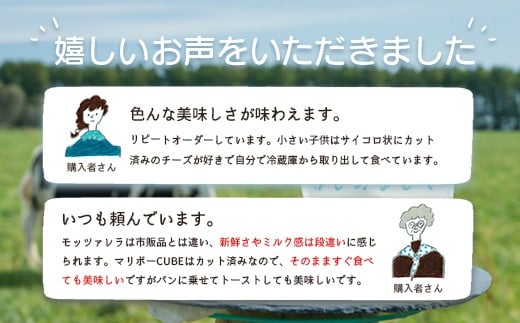 竹下牧場 takeshita farm【定期便12ヶ月】まるごとチーズセット 計560g