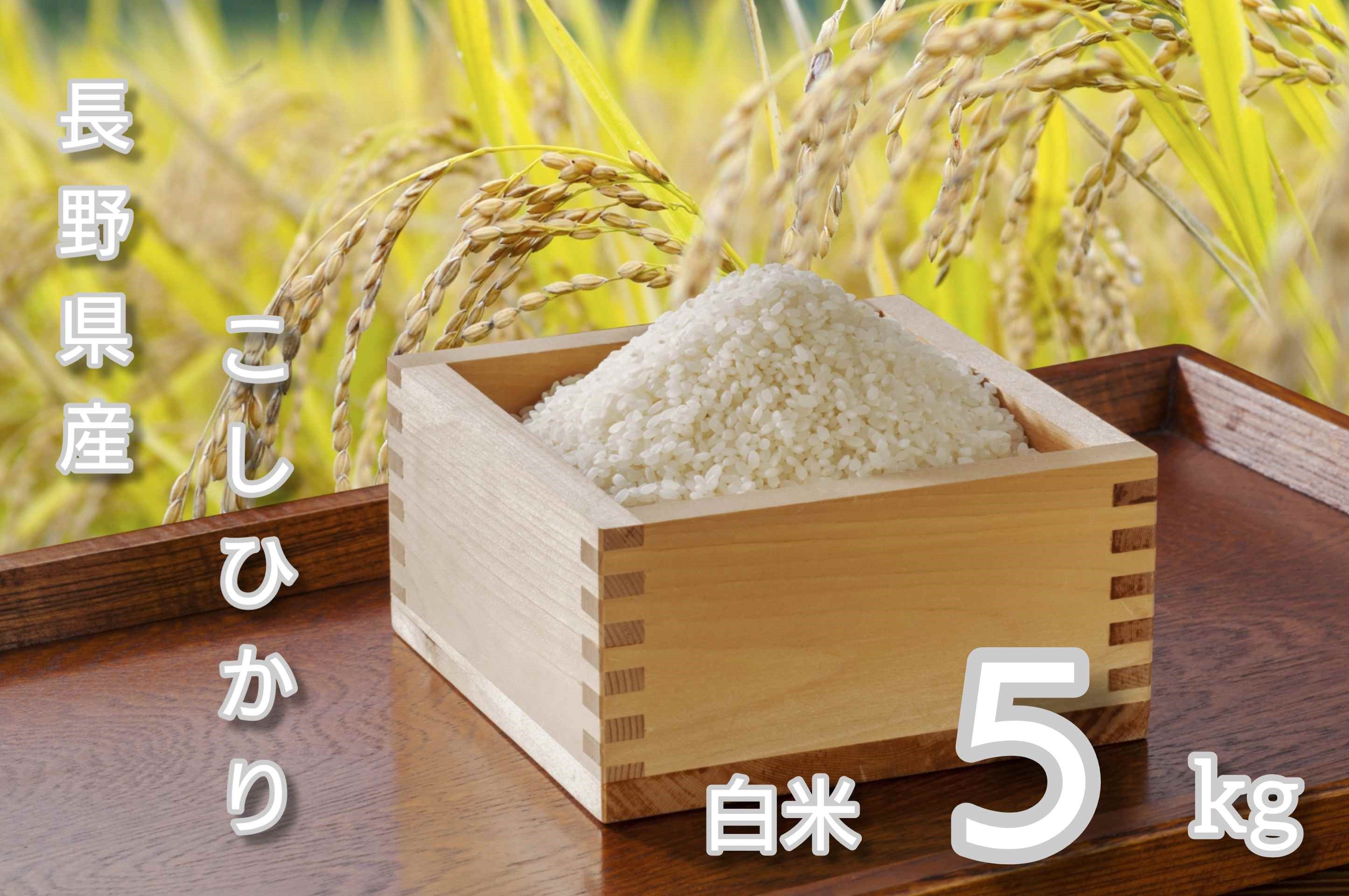 【ふるさと納税】コシヒカリ 精米 5kg/10kg 令和7年産｜ 新米 白米 コメ ごはん 千曲市 長野県 信州