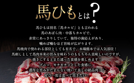 馬ひも焼肉用300g（50g×6袋） 肉 馬ひも 馬肉 熊本県苓北町《90日以内に出荷予定(土日祝除く)》 ｜人気馬刺し  人気返礼品 熊本馬刺し ブランド馬刺し 苓北馬刺し 特産馬刺し