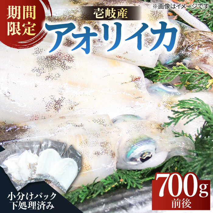 【ふるさと納税】アオリイカ（処理済み） 700g前後 《壱岐市》【ヤマグチ】[JCG018] いか イカ アオリイカ 水イカ 刺身 お刺身 刺し身 ゲソ 魚介 海産物 海鮮 天然 冷凍 いかめし 16000 16000円 冷凍配送