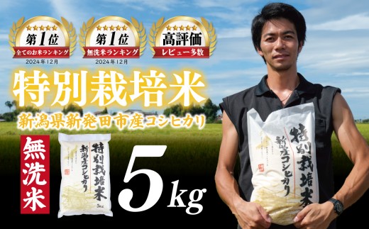 【先行予約】令和8年産 無洗米 コシヒカリ 5kg 特別栽培米 こしひかり 米 お米 こめ 新潟米 新潟県産 新潟産 新潟 新潟県 新発田産 新発田 新発田市 斗伸 toushin001_R8