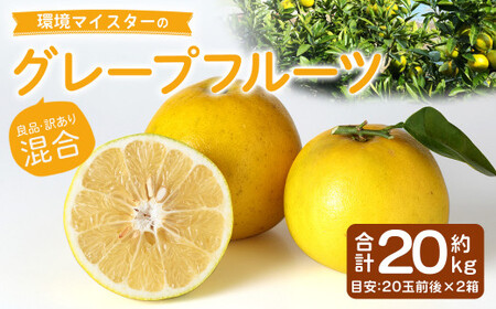 環境マイスターのグレープフルーツ 良品・訳あり混合 20kg （栽培期間中は無肥料・農薬不使用） 果物 くだもの フルーツ グレープフルーツ 柑橘 【2026年3月下旬～5月下旬迄順次発送予定】