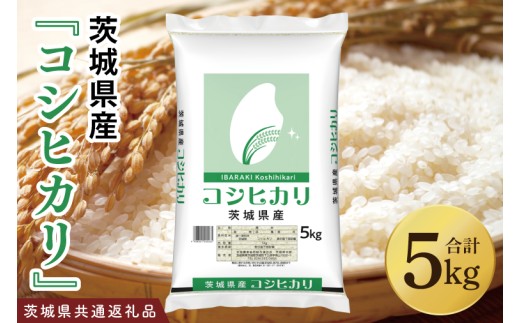令和7年産 茨城県産 コシヒカリ5kg【お米 米 こしひかり ごはん 茨城県】（03-48）