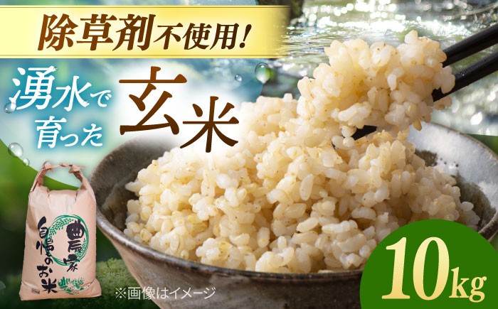
                  玄米 10kg 令和7年産 ▼ 玄米 げんまい ゲンマイ genmai お米 米 福岡県産 玄米 おこめ こめ コメ 食品 玄米 こめ おすすめ 玄米 九州 米 お米 ご飯 ごはん おにぎり 未精米 人気 玄米 おいしい コメ げんまい ランキング 玄米 産地直送 げんまい 国産 玄米 ギフト 通販 送料無料 10kg 10キロ 福岡県 桂川町/NOGAMI FARM [ADAU010]
                