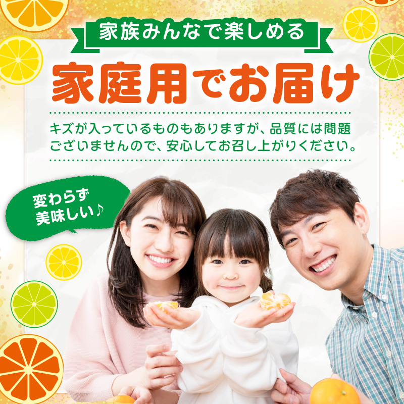 【8070】JAわかやま紀州　柑橘勢ぞろい　セット　7回　定期便