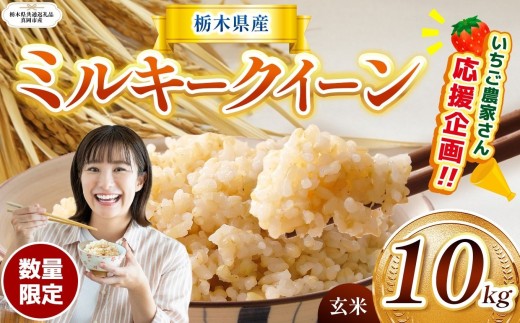 【栃木県共通返礼品】【先行予約】  訳あり 数量 限定 定期便 令和8年度産 ミルキークイーン 約 10kg | とちぎの星 ミルキークイーン お米 kome okome ご飯 米 玄米 白米 ごはん おいしい ふるさと納税 那珂川町 栃木県 送料無料