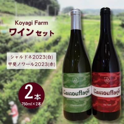 ふるさと納税 南相馬市 ワイン 2本セット 甲斐ノワール2023 (赤)  シャルドネ2023 (白) | コヤギファーム