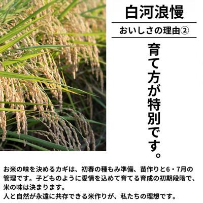 ふるさと納税 矢吹町 令和7年産米 白河浪慢ひとめぼれ 5kg 精米 |  | 02