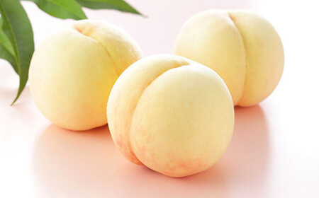 岡山 白桃 エース 3玉×約200g 計約600g 岡山県産 【2026年7月上旬～8月下旬迄発送予定】 フルーツ 果物 くだもの モモ 桃 もも 冷蔵 国産