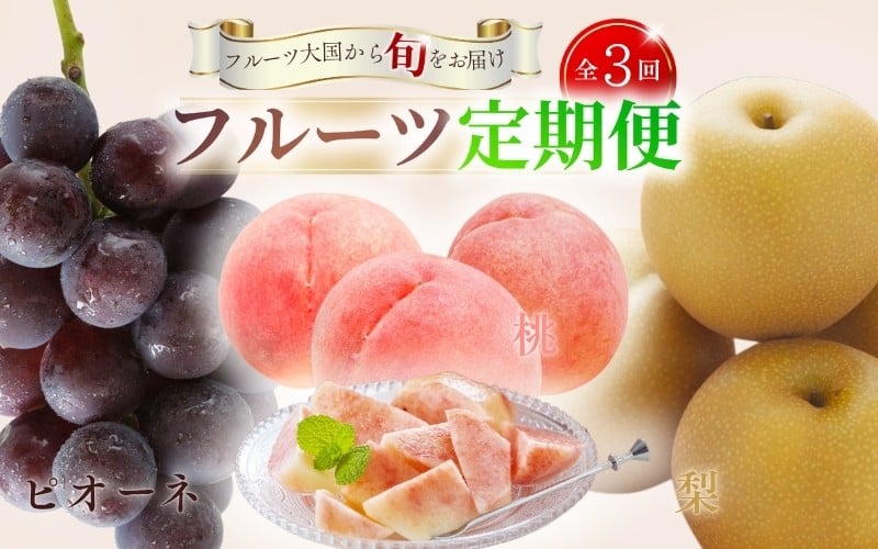 
            【全3回定期便】和歌山の旬のフルーツ定期便！人気の桃・ピオーネ・梨をお届け♪
          