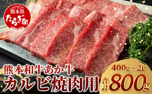 【 年内お届け 】 熊本県産 あか牛 【 カルビ 焼肉用 800g (あか牛 バラ カルビ 400g×2)】《 12月18日～28日発送 》  熊本県 あか牛 かるび 焼肉 焼き肉 BBQ アウトドア 牛肉 赤身 和牛 褐毛和種 046-0657-R612