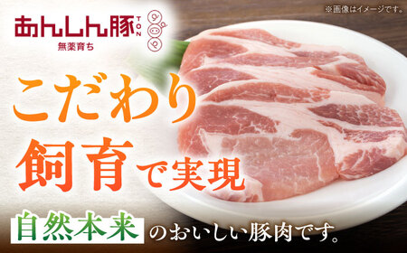 【3回定期便】あんしん豚 豚肉大満喫コース 計2.76kg 白川町 / 藤井ファーム[AWAF072]
