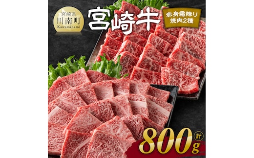 
										
										宮崎牛赤身霜降り焼肉2種 800g【 肉 牛肉 国産 宮崎県産 宮崎牛 黒毛和牛 和牛 焼肉 BBQ 4等級 A4ランク 肩ロース ウデ モモ 】［E11124］
									