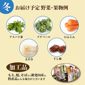 【4月開始】 野菜定期便 年4回 8～12種類 数量限定 野菜定期便 詰め合わせ 旬 野菜BOX 詰め合わせ 野菜定期便 野菜定期便 せいだ seida010_01