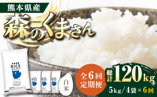 《 新米先行予約 》【全6回定期便】2025年10月より順次発送  森のくまさん 白米 20kg(5kg×4袋)【有限会社  農産ベストパートナー】 [ZBP123]
