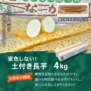 変色しない！ 土付き 長芋 4kg 【ながいも一筋 マル庄】 ／ とろろ 山かけ